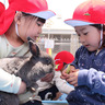 高木学園附属幼稚園　園舎に動物集合　触れあい体験開催