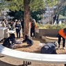 稲毛公園を｢お掃除｣　23日　ごみ拾いイベント