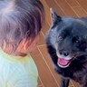 3歳の女の子を『本気で叱った』結果→見ていた犬が…もはや人間のような『一生懸命すぎる行動』に21万再生の反響「ステキ」「気遣い上手」