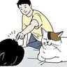 猫同士の予期せぬ仲たがいにご注意【猫マンガ