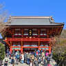 【2025年最新】鶴岡八幡宮の歴史・見どころ・ご利益完全ガイド