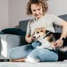 犬が『人の膝に乗る』心理４選　意外な理由や辞めさせたほうがいいタイミングまで