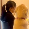 『風邪をひいた女の子に、大型犬が…』心配でそばを離れない姿と『まさかの結末』が151万再生「やさしい世界」「絶対そう言ってるｗ」と爆笑