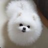 ぜんぜんかまってくれない！