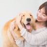 犬を今よりもっと『幸せにする方法』5選　愛犬をハッピーな気持ちにさせる為に飼い主ができることとは？