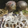 交錯する意識展　４月26日から　丹沢美術館