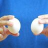 ゆで卵を水から作る！ベストのゆで時間は何分？【半熟・固ゆで】