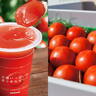この夏、食べたい！トマトを使ったグルメ＆スイーツおすすめ8選