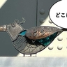 【立川クイズ】この鳥のオブジェは立川市内のどこにあるでしょう？