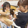 にぎやかな毎日　辻内さん家の猫「ラテ」「モカ」　名張