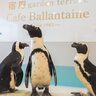 【三木】ペンギンに会える「カフェ