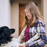 犬が人に飛びつくと起こりうる『4つのリスク』　飛びかかってしまう理由や改善方法を解説