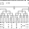 【高校野球奈良県大会秋2024】天理が奈良を下し優勝　3位は智辯学園　「スケジュール」「チケット購入方法」「試合結果」をお届け
