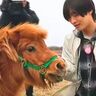 「ちっこい！」IMP.佐藤