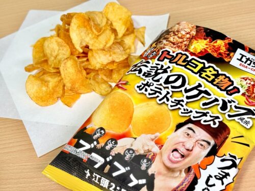 江頭2：50監修 伝説のケバブ風味ポテトチップス』を食べたら