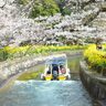気分はまるで平安貴族！『びわ湖疏水船』でお花見しながら、琵琶湖から京都まで行ってみた