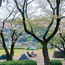 上大島キャンプ場　11月「全日」営業を視野　昨年試行実施　利用は夏場敬遠