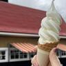 毎年トップ級の人気！八紘学園のソフトクリーム開始！今年はさらに人気爆発の予感？新商品も