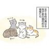 一匹だけ欠けてもいいと妥協できない飼い主の愛【猫エッセイ】交通事故にあった猫を拾いました