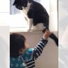 子どもが猫と一緒に遊びたくて『尻尾に手を伸ばした』結果…まさかの対応が42万2000再生の大反響「本当に優しくて涙」「仲良しだね」の声