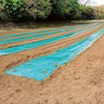 農地と農家をマッチング　横須賀市・ＪＡ・農業委が連携