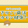 免疫力を向上させるためにきのこを食べて善玉菌を増やそう！