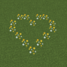 【マイクラ】【Ver1.21.5】新アイテム「ワイルドフラワー」追加！新たな装飾用の花【Minecraft】