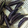 ツタンカーメンのお供え物！？神秘に包まれた紫えんどう【長崎県壱岐市】
