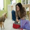 犬を初めて飼う人がぶつかる『3つの壁』　飼い主が事前に心得ておくべきポイントとは