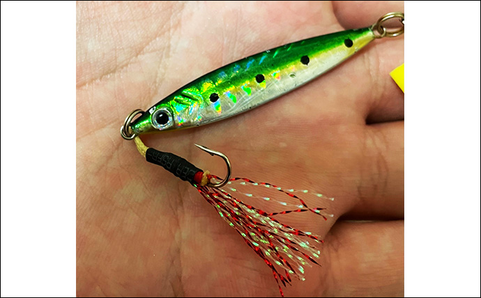 メタルジグ　60個以上　まとめて処分 メタルジグ 60個以上 まとめて処分 メタルジグ 60個以上 まとめ