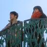 小樽ロケ、三浦貴大が主演の『行きがけの空』がイオンシネマ小樽で先行上映決定
