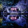 〈奈良市〉世界遺産「古都奈良」の夜に輝く瑠璃色の世界『しあわせ回廊