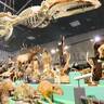 200体の動物たちが大行進、「大哺乳類展3」が国立科学博物館で開催