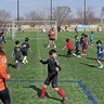 大和市綾瀬市　｢壁｣超えた催し盛況　３千人超がスポーツ交流