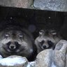 冬だから見ることが出来るリアルな表情も…円山動物園でどうぶつたちをスケッチ
