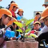 野菜ってどうやってできるの？　かまいしこども園児がわくわく苗・種植え　収穫を楽しみに…