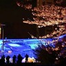 航空公園駅前の飛行機が青い光に包まれる。今年もライトイットアップブルー2024の季節がやって来ました！