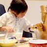 4歳の女の子が『犬と一緒にご飯を食べた』結果…優しさ溢れる『食卓でのやり取り』が尊すぎると62万再生「幸せがダダ漏れ」「羨ましい」