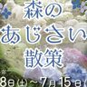 北区の森林植物園で、約5万株のあじさいを楽しむ『森のあじさい散策』が開催されるみたい。浴衣だとペアで「入園料無料」