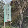 【達成感】徳島の日本一低い山「弁天山（標高6.1m）」で登頂証明をゲット