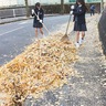 早渕中生徒が「助っ人」　イチョウの「名所」を大掃除