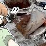 「サメに指パクされちゃう！」恐ろしい？でも痛くない不思議な体験ができる科学館【北海道・標津町】
