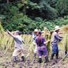 丸山谷戸に実りの秋