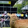 〈奈良市〉奈良の音楽フェス『第9回