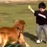 男の子と凧上げ→手が離れ飛んでいってしまったら、大型犬が…まさかの『天才すぎる行動』に「素晴らしい連携プレー」「素敵な家族」と絶賛