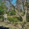 「駒場野公園」から「駒場公園」にハシゴ【駅ぶら】06京王電鉄391　井の頭線22