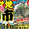 獲れたての魚介類や産地直送の新鮮野菜が並ぶ『香々地朝市』が開催されます