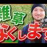 「雑草は抜くな！」家庭菜園初心者のためのラクな草対策｜失敗しない雑草の刈り方と意外な活用法