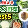 暑さに負けない！農業YouTuber黒壁厳選！
