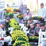 東柏ケ谷の長寿会　立札で横浜花博ＰＲ